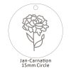 Jan-Carnation